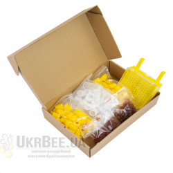 Jenter Comb Analogue (China)