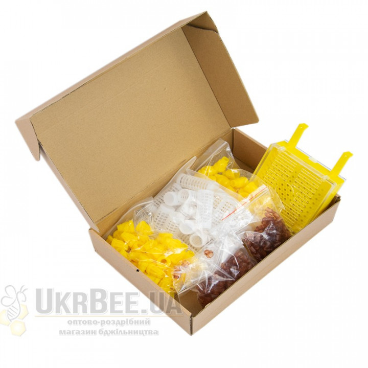 Jenter Comb Analogue (China)
