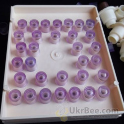 ApiMini Cell Cups (Nicot Copy), 110 pcs