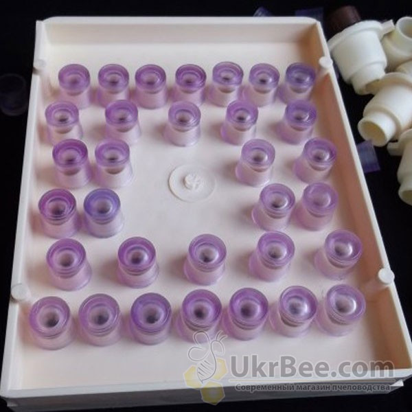 ApiMini Cell Cups (Nicot Copy), 110 pcs