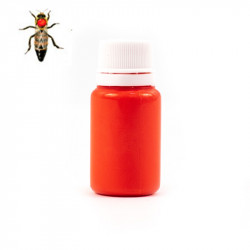 Queen Bee Marking Paint (water-based)