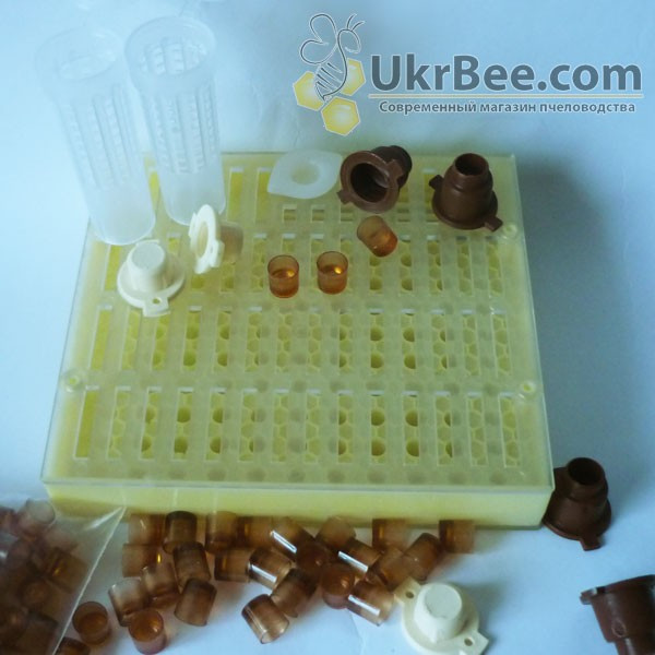 Api "Max" queen rearing system