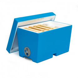 "Mini" Polystyrene Nucleus Hive (Nuc)