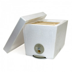 "Mini" Polystyrene Nucleus Hive (Nuc)