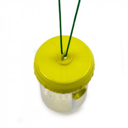"Hornet catcher" Wasp and Hornet Trap