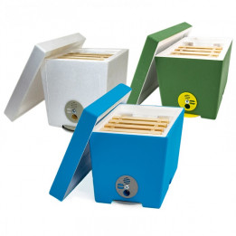 "Mini" Polystyrene Nucleus Hive (Nuc)