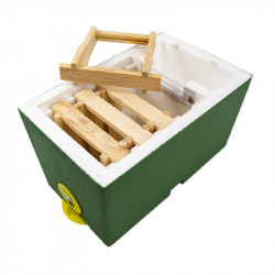 "Mini" Polystyrene Nucleus Hive (Nuc)