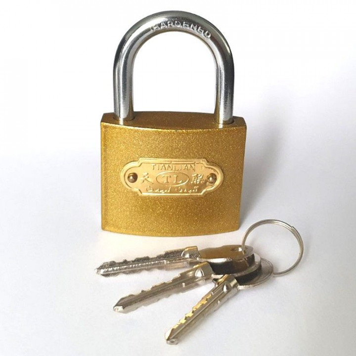Padlock with Cruciform Key 50 mm