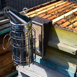 Stainless Steel Bee Smoker with Burn Protection (leather bellows)