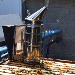 Димар з нержавійки + шкіра (малюнок 6) - бджоли не постраждали дим на фото у димара домальований