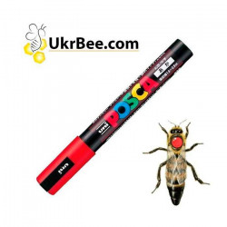 POSCA Marker for Queen Bee Marking, Japan
