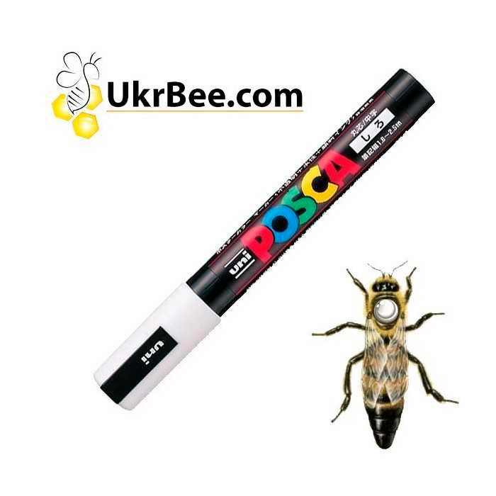 POSCA Marker for Queen Bee Marking, Japan