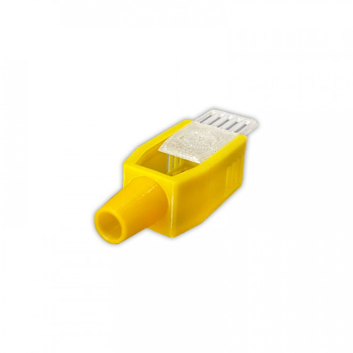 DK Queen Introduction and Mailing Cage