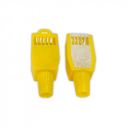 DK Queen Introduction and Mailing Cage