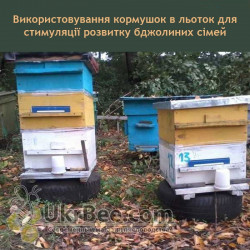 Hive entrance feeder/drinker 0.5 L | UkrBee