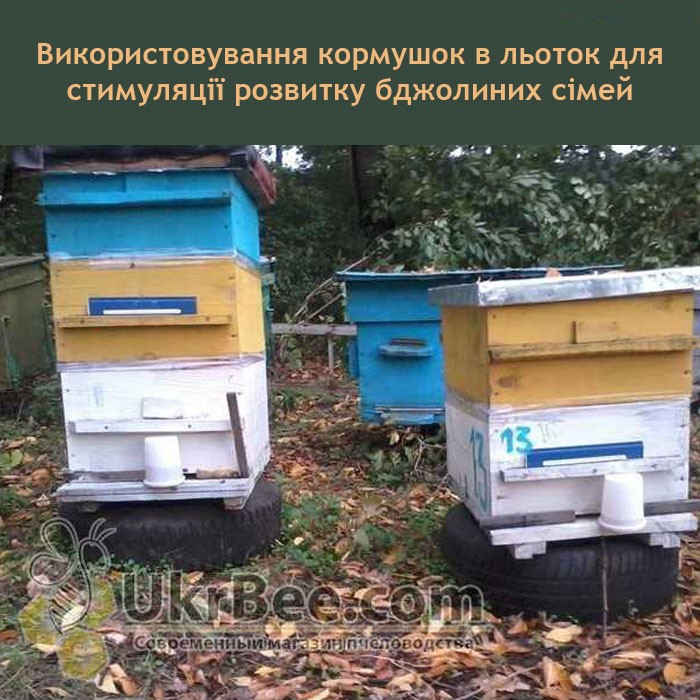 Використовування кормушок в льоток для стимуляції розвитку бджолиних сімей