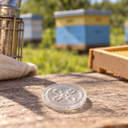 Clear round Jenter cover plug on a wooden table at an apiary with hives in the background