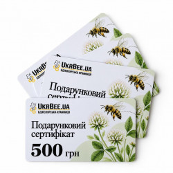 Several UkrBee UAH 500 gift certificates on white background, front side with bee and clover
