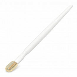White royal jelly collection spatula with clear scoop on a white background