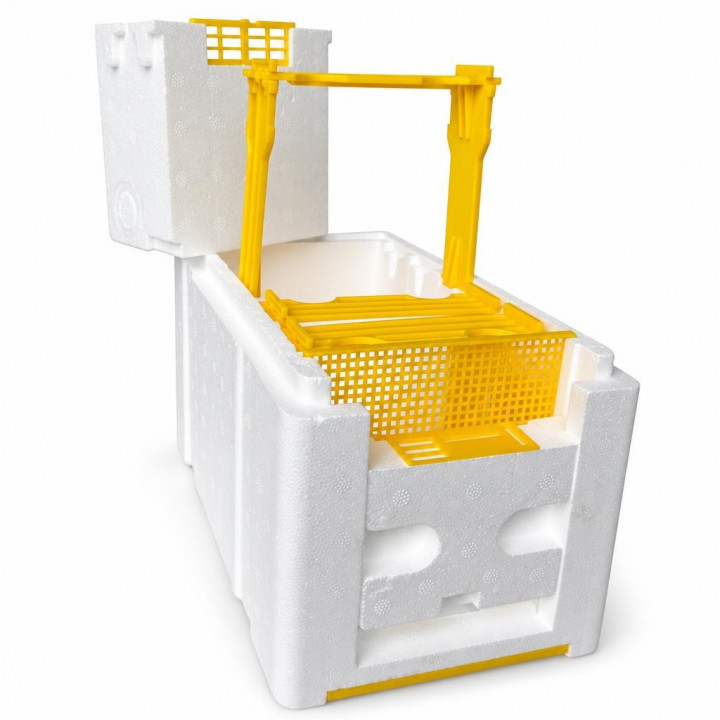 Open white EPS mini nucleus hive with yellow frames on a white background