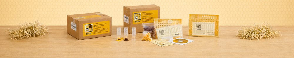 Nicot queen rearing kits | Buy at UkrBee