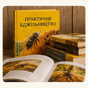 Books and DVDs