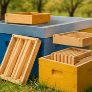 Beehives, Frames and Hive Accessories