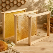 Hive Frames