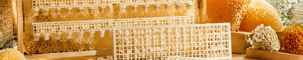 API-MAXI combs | Buy from UkrBee