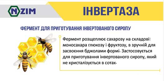 инвертаза5.jpg