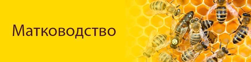 Матководство - товары, инструмент для вывода пчелиных маток в интернет-магазине УкрБи